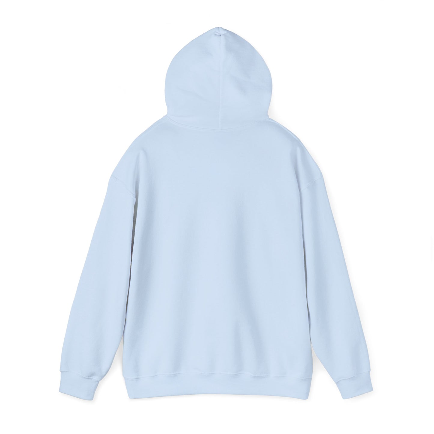 Solid Unisex Hoodie - Light Blue